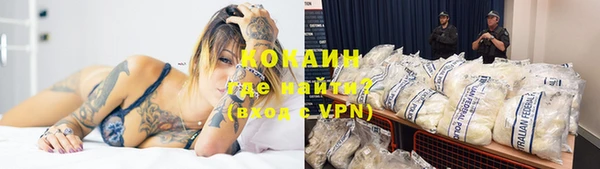 стаф Белоозёрский