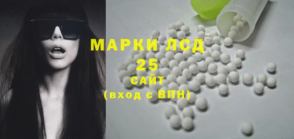 твердый Снежногорск
